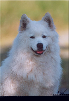 Kira